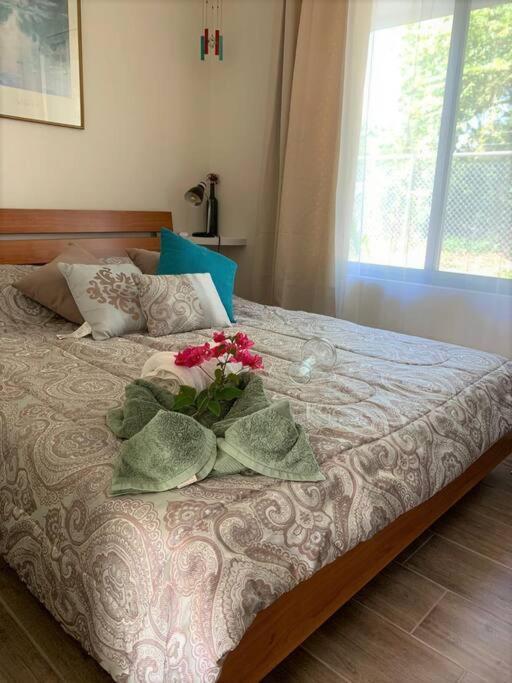 Cute Studio-apartment Near The Apartment Uvita