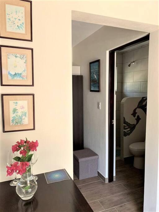 Apartment Cute Studio-apartment Near The Uvita